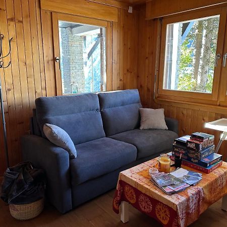 Chalet Edelweiss A Saint-Martin, Val D'Herens Екстер'єр фото